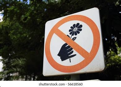Images libres de droits de Défloration .